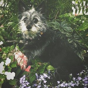 Meet your Posher, Jasmine